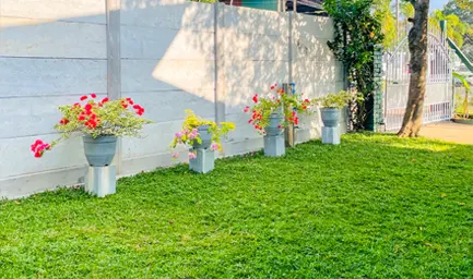 Garden Area