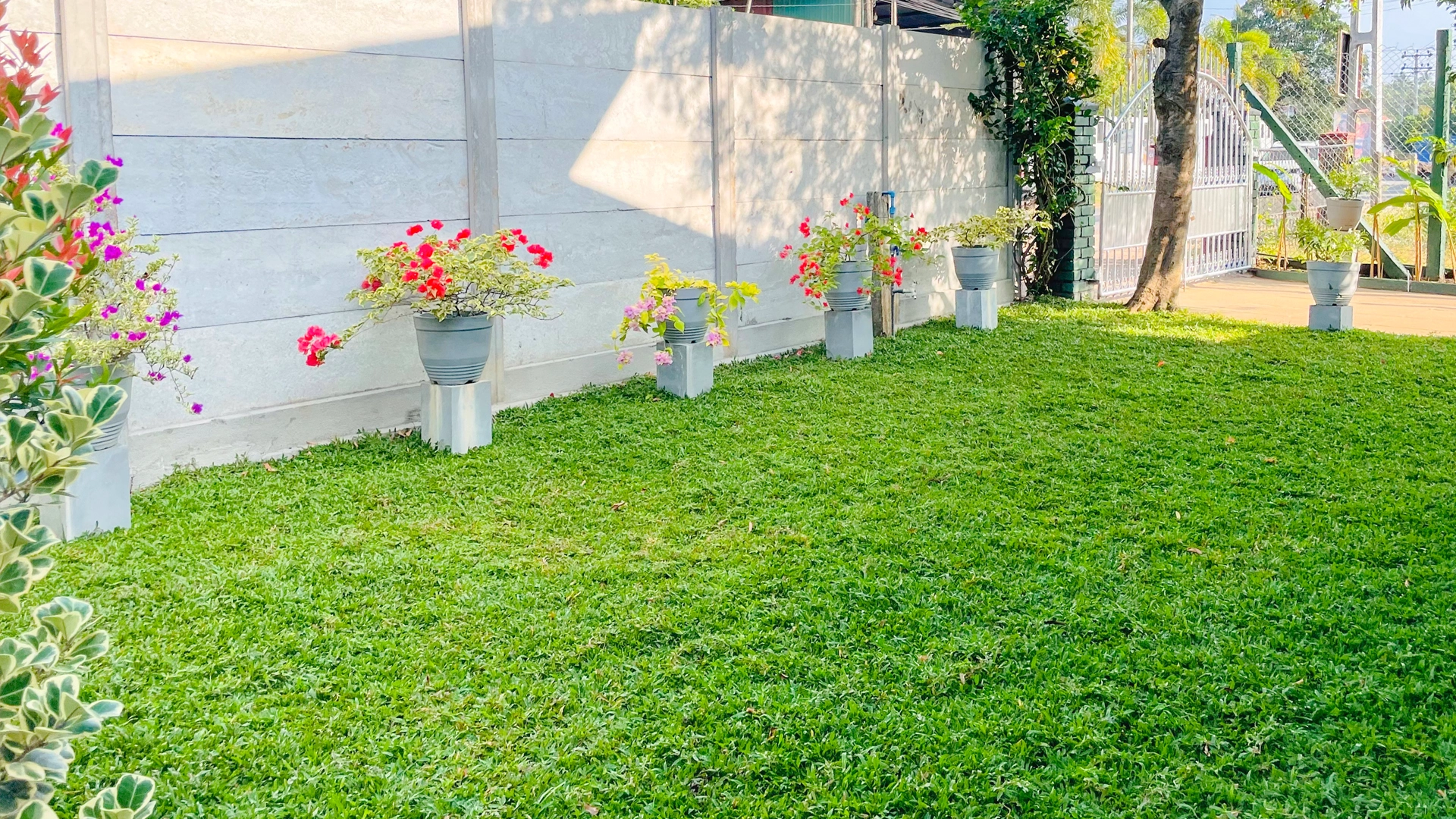 Peaceful Garden Area